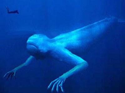 Uma 未確認生物 Shine Uma 未確認生物 Shine