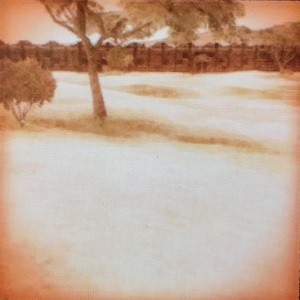 お宝の写真 プクランド編 今日もきっと旅に出る