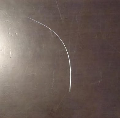 おひげがぬけているっ 我が家の猫にゃんず