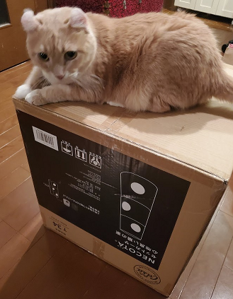 買ってみた】キャットインテリアタワー『necota』購入！ : 我が家の猫