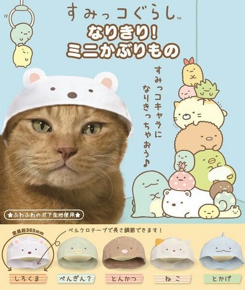 猫にゃんず すみっこぐらし のキャラになりきってみる 我が家の猫にゃんず