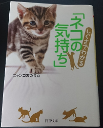 本に学ぶ しぐさでわかるネコの気持ち 前足で顔を隠して寝る意味 我が家の猫にゃんず