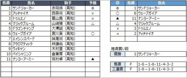 高知競馬予想 1月11日 月 ヤブツバキ特別 他 競馬リッチ 中央競馬 南関東4競馬の予想と話題