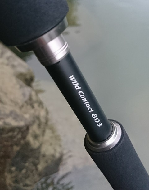 エクスセンス再び 今度は S803MH/R : Day Walker