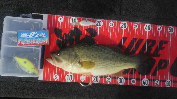 最高最強クラスのバスロッド入荷です！ : Lure Shop O'z Blog