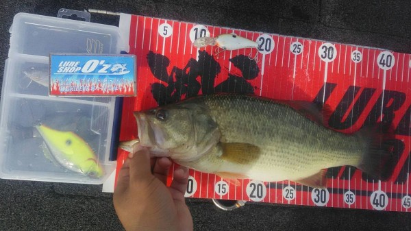 最高最強クラスのバスロッド入荷です！ : Lure Shop O'z Blog