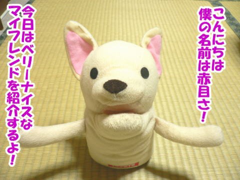 銀ちゃんの服 お友達 熊犬 銀牙流れ星 銀ちゃんのパワフル日記