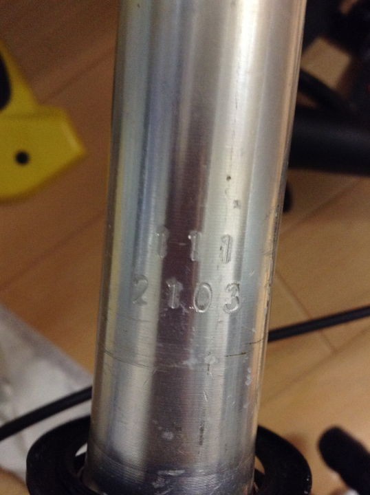 ダホン用軽量カーボンフォーク ダホン用軽量カーボンフォーク IRIS