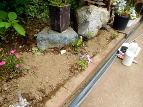 小さな小さな花壇に花苗を追加 私ってガン