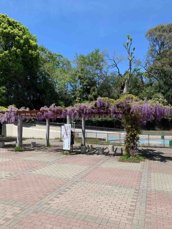 戸山公園 残念なオストメイト対応トイレ オストメイトの情報発信メディア オスとぴ