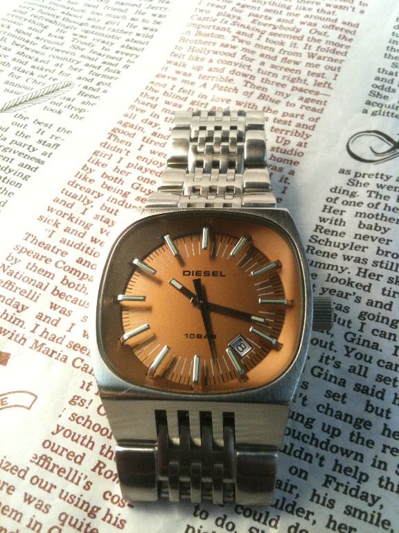 DIESEL DZ1051 ディーゼル たまにゃ～クオーツでも : 僕と猫と時計と