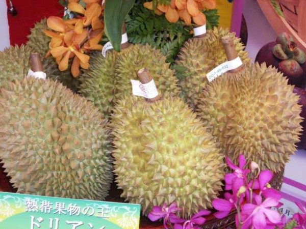 タイのフルーツの王様 ドリアン モントーン ガンヤオなど種類もいろいろ 毎日カレー と タイ料理 By エスニカン