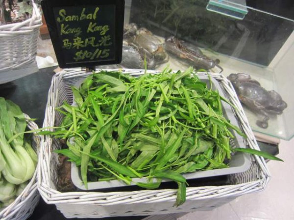 空芯菜 シンガポールでカンコン タイではパックブーン 毎日カレー と タイ料理 By エスニカン