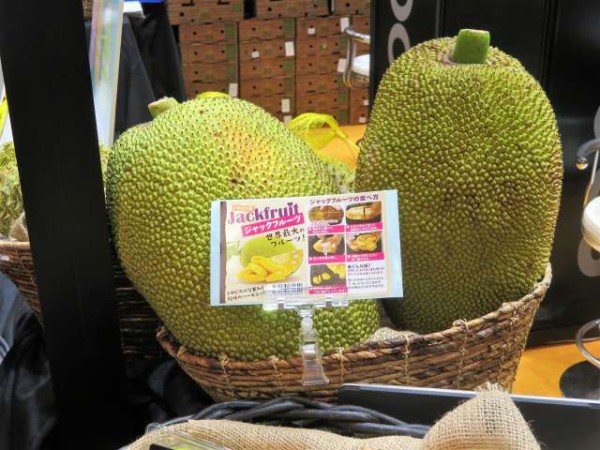 世界最大の果実「ジャックフルーツ（生）」が日本上陸！（あまく危険な