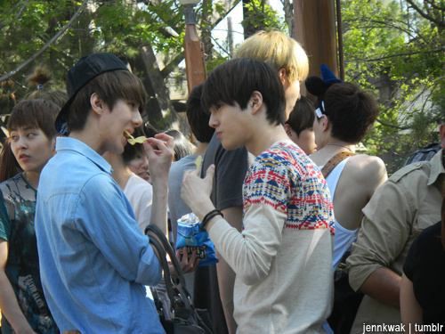 今更 ディズニーランドなexoっ子 I Lovexo I Love K Pop