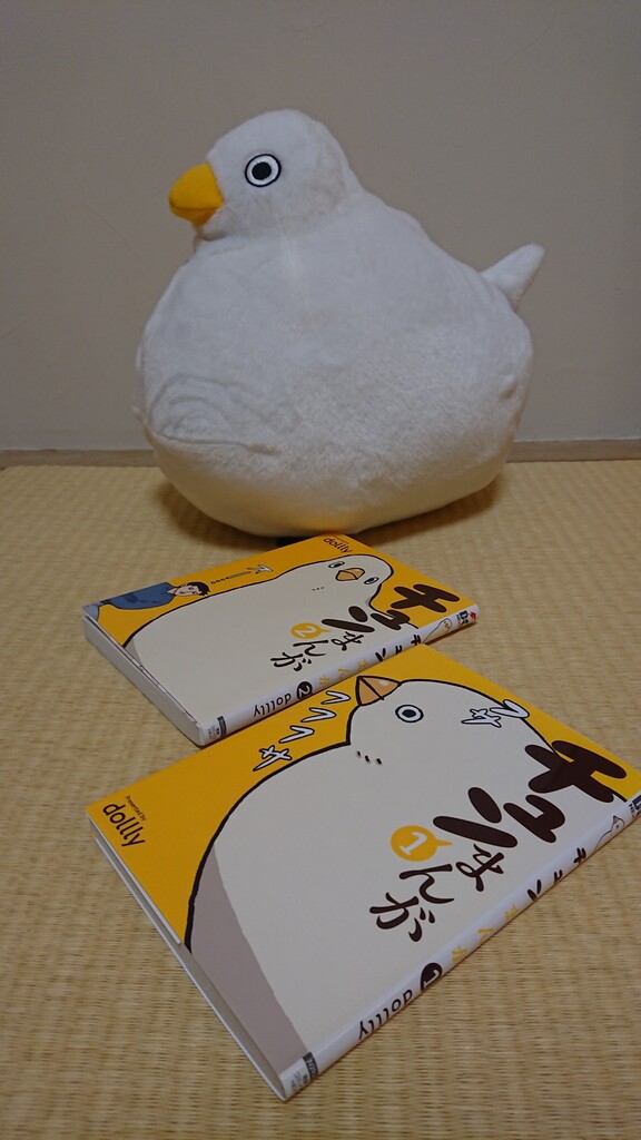No 313 チュンまんが のチュンとケロちゃん ガラクタ共存記 No 313 チュンまんが のチュンとケロちゃん ガラクタ共存記