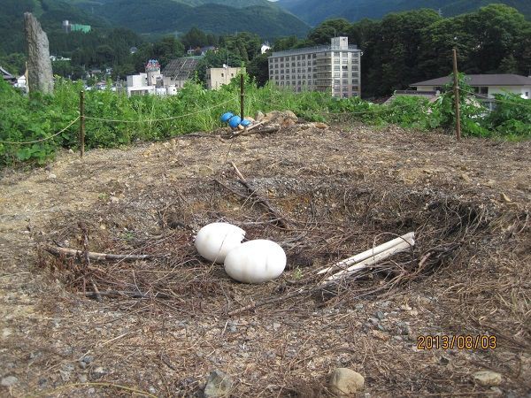 モンハン渋の里で卵運びクエを体験 しよう ゆるーく遊ぶモンハン生活