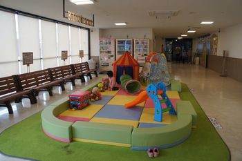 ライフ戸塚汲沢店 かまくら日記 鎌倉 北鎌倉 大船 ブログ