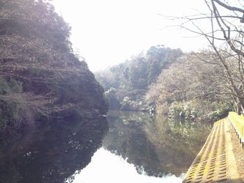 散在ガ池森林公園 かまくら日記 鎌倉 北鎌倉 大船 ブログ