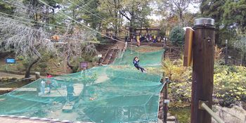国営武蔵丘陵森林公園 埼玉県比企郡 かまくら日記 鎌倉 北鎌倉 大船 ブログ