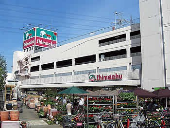 島忠 荏田店 で野菜の苗木を購入 たまプラーザ日記 たまプラ ブログ