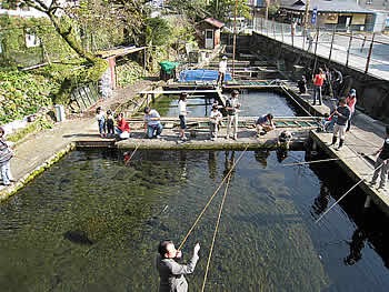 箱根宮城野国際ます釣り場へ たまプラーザ日記 たまプラ ブログ