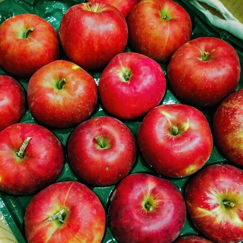 カナダから伝わる母の味 Nhk グレーテルのかまど で紹介されたりんごのポロポロケーキ 町田友の会のblog
