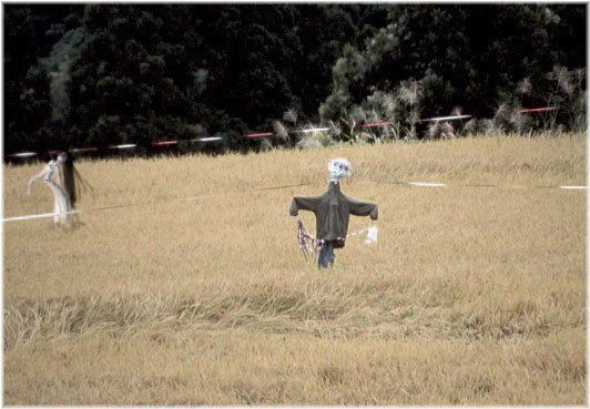 くねくねとかいうネットuma界のスター Uma速報