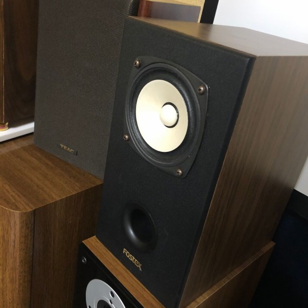 ばんどーフォステックスエンクロージャーFE103.レパイアンプ