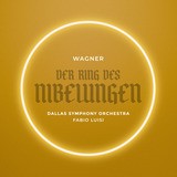 Wagner：ニーベルングの指環 : 今はこんなことをしている場合ではない