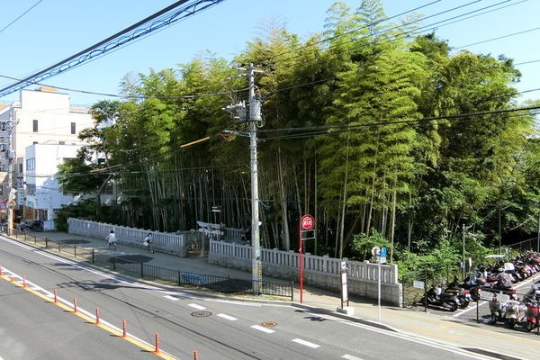 ここが 八幡の藪知らず 旅の案内人 リターンズ