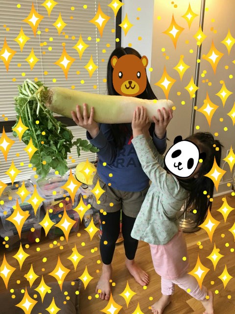 宅配野菜とお魚その他、NY農場さん : 窓@New York 再び!