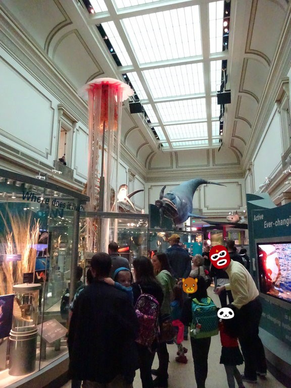 スミソニアン自然史博物館で桜パンダ…売ってましたの＠ワシントン : 窓