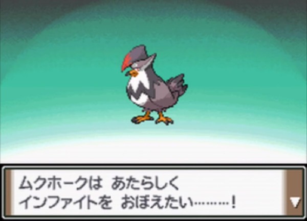 朗報 ムクホークさん 最初の草むらで捕まえられるくせに強すぎる ゲーハーの窓