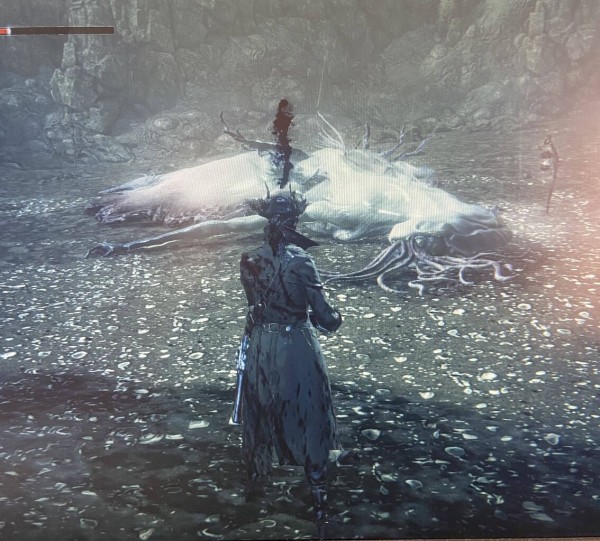 考察 ブラッドボーンのゴースの遺子とラスボス倒します ゲーハーの窓