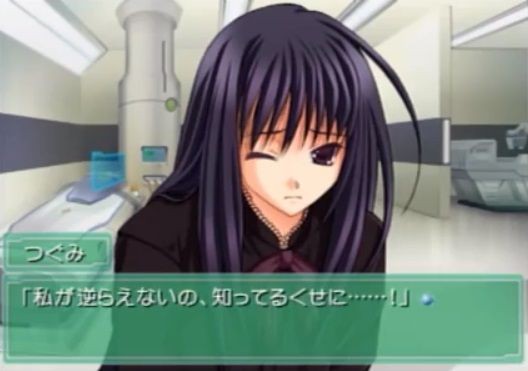 ループもののアニメってたくさんあるけど ループもののゲームって全然ないよな ゲーハーの窓