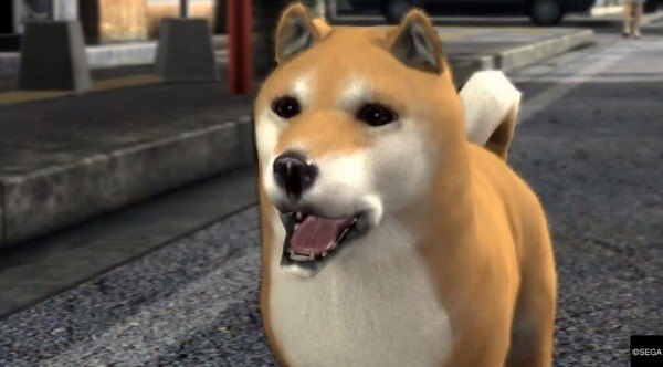 悲報 明らかにps2っぽい犬が発見される ゲーハーの窓