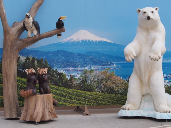 日本平④ シロクマペア、大はしゃぎ! : レッサーパンダに会いに行く 日本平④ シロクマペア、大はしゃぎ! : レッサーパンダに会いに行く