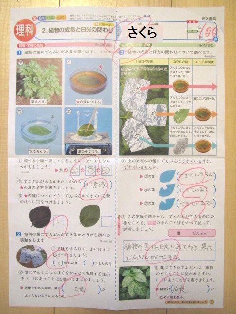 さくら 算数と理科のテスト 転勤家庭の育児生活記 さくら 算数と理科のテスト 転勤家庭の育児生活記