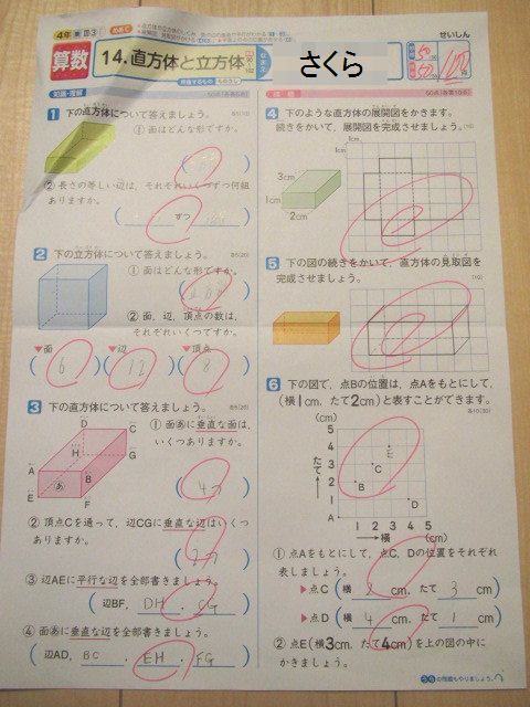 さくら 漢字と算数のテスト 転勤家庭の育児生活記