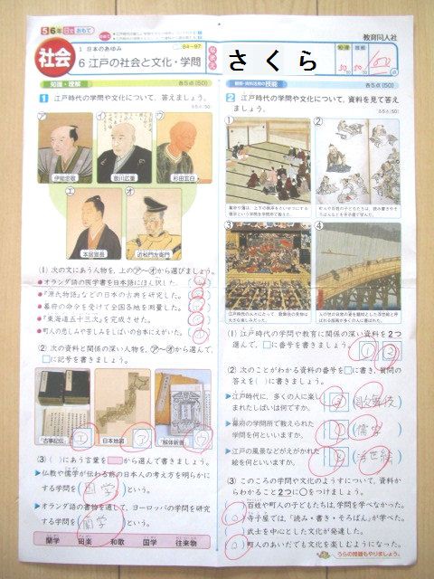 さくら 社会のテスト 転勤家庭の育児生活記