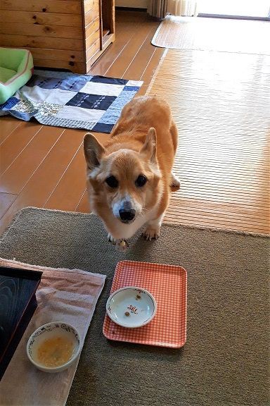 旅立ち そしてありがとう 晴れ ときどき曇り