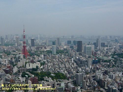 六本木ヒルズ上空スカイデッキ マイコのhappy Life エジプトevery Day