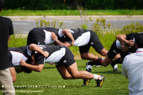 またラグビー日本代表の練習を見学してきました マイコのhappy Life エジプトevery Day