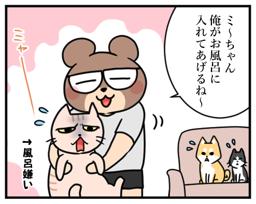 猫 お風呂に入れる時 背後を取られてはいけない いもとくまの365日 ぐうたら妻と生真面目夫の呑気な日常