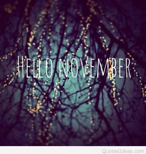 16年11月の運勢 睡蓮の眠り 素敵な暮らしのために