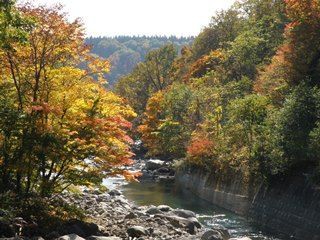 紅葉真っ盛りの葛根田渓谷からそば街道へまっしぐら 牧野林 Makinobayashi