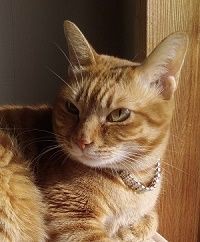 命をお金で買わない Hashtag On Twitter