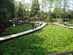 つくば植物園 筑波実験植物園 赤羽ママの子連れでおでかけっつ