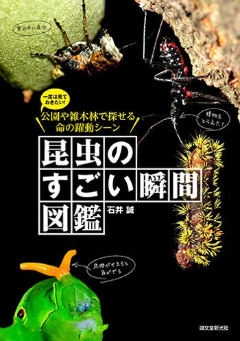 昆虫たちの すごい瞬間 ばかりを集めた図鑑が登場 Mamapicks 子育て 育児 教育ニュース コラムサイト